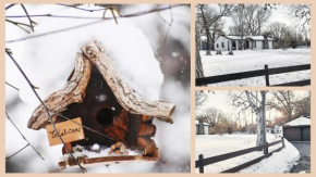 Pet friendly - Love Lake Hacienda!